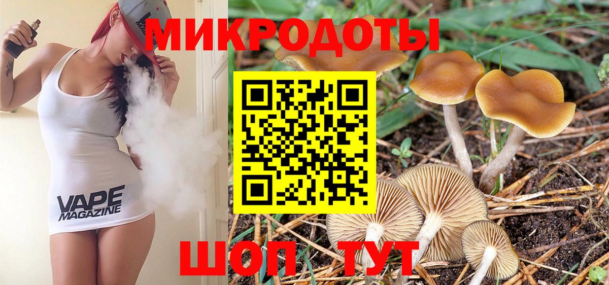Псилоцибиновые грибы ЛСД Каменка