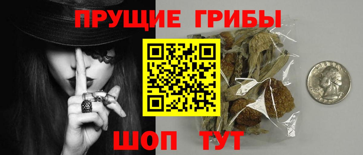 Псилоцибиновые грибы Magic Shrooms  Вход с VPN  Каменка  Псилоцибиновые грибы прущие грибы 